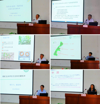 北方玉米田间管理技术培训班在新疆举办 科技兴农与绿色发展的双重奏