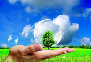 环保节能引领涂料行业革命性发展