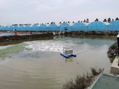 加快推进海水养殖尾水治理示范点应用建设，助力海洋渔业绿色发展